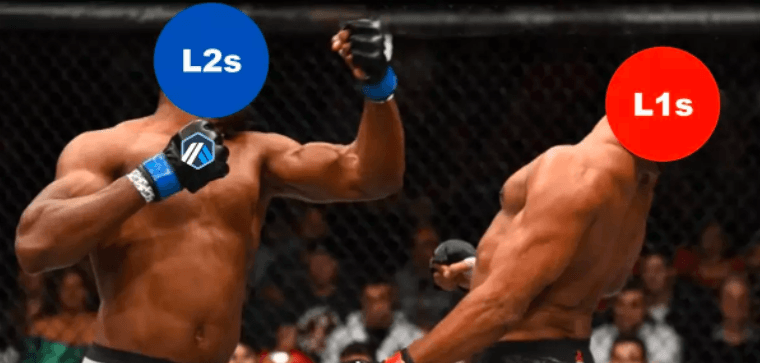 L1s vs L2s:在数据对比中观察谁是赢家?