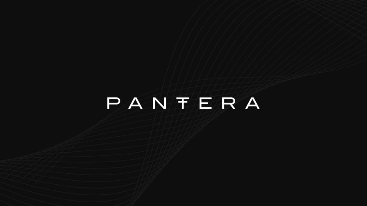 Pantera 正在关注的三大领域:社交、模块化与比特币生态
