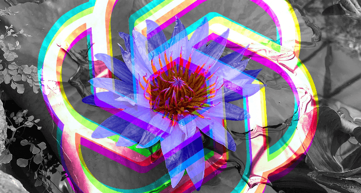 剧变后,OpenAI 现在状况如何?最大收入驱动是什么?