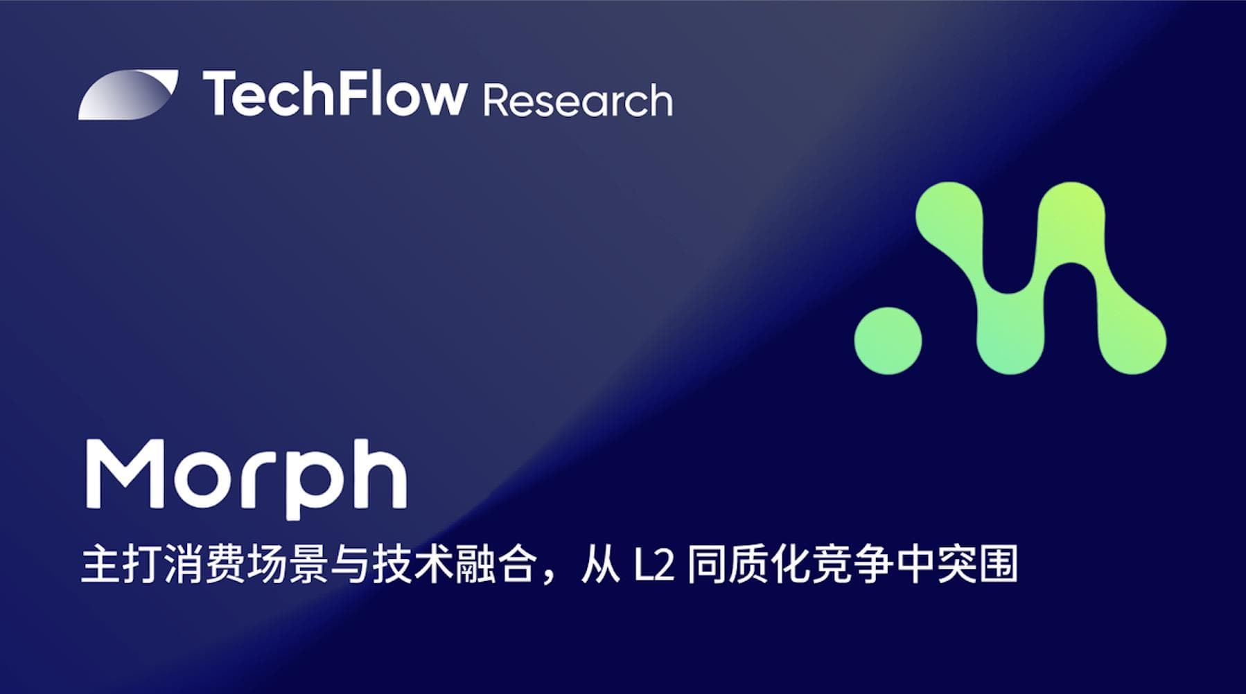 解读 Morph:主打消费场景与技术融合,能否从 L2 同质化竞争中突围?
