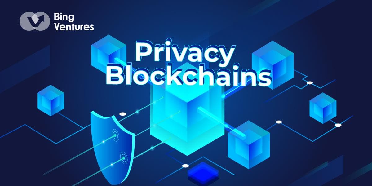 Bing Ventures:ZKP 时代的隐私公链