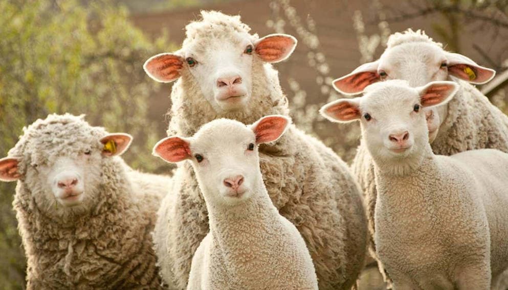 撸空投指南:跟着“头部矿工”孙哥,撸明星项目空投,瓜分5000万份额空投奖励