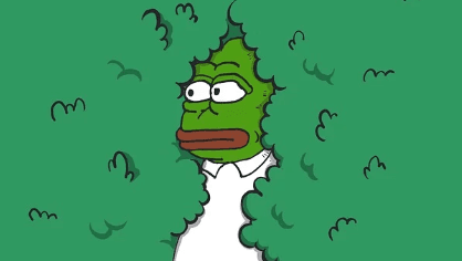 加密流行:Meme 财富的诞生