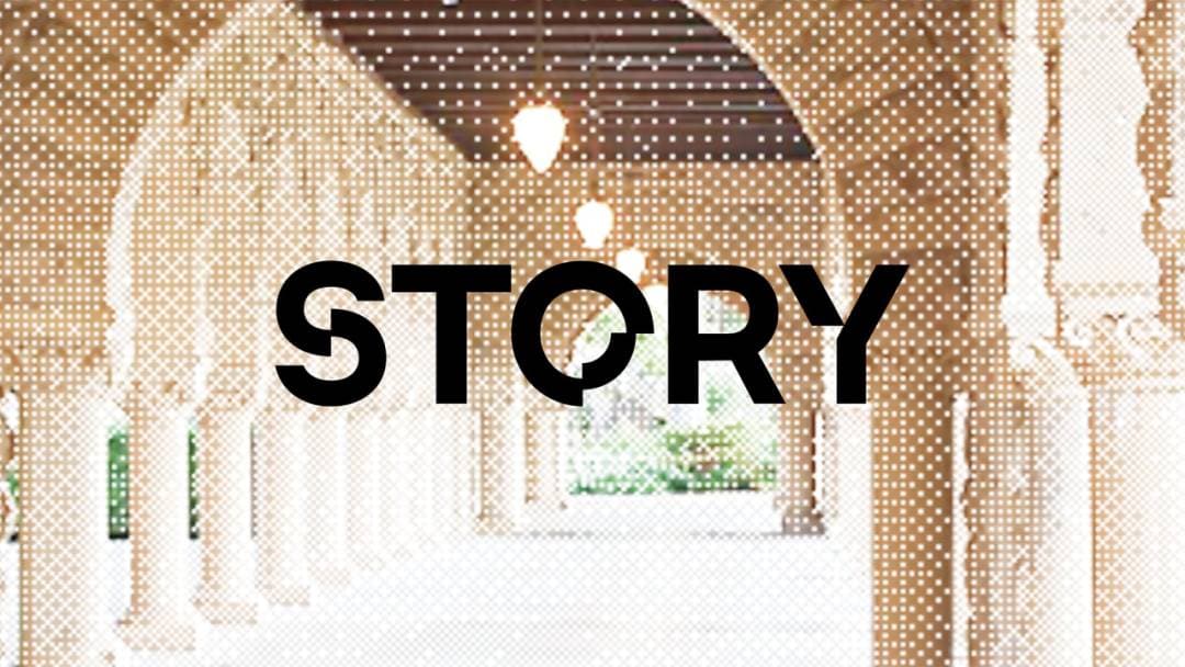 Story Protocol:重塑 IP 管理的区块链新星