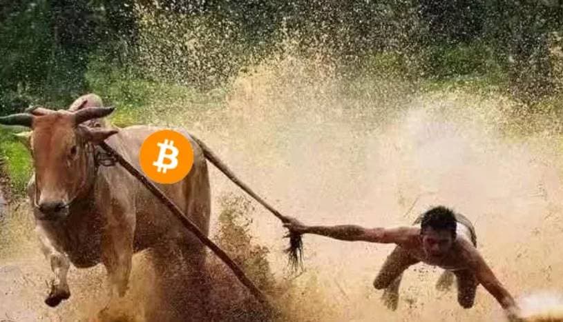 A 股牛回,加密牛市何时启动?