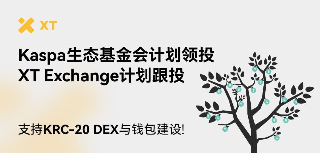 Kaspa 生态基金会计划领投,XT.COM 交易所计划跟投支持 KRC-20 DEX 与钱包建设