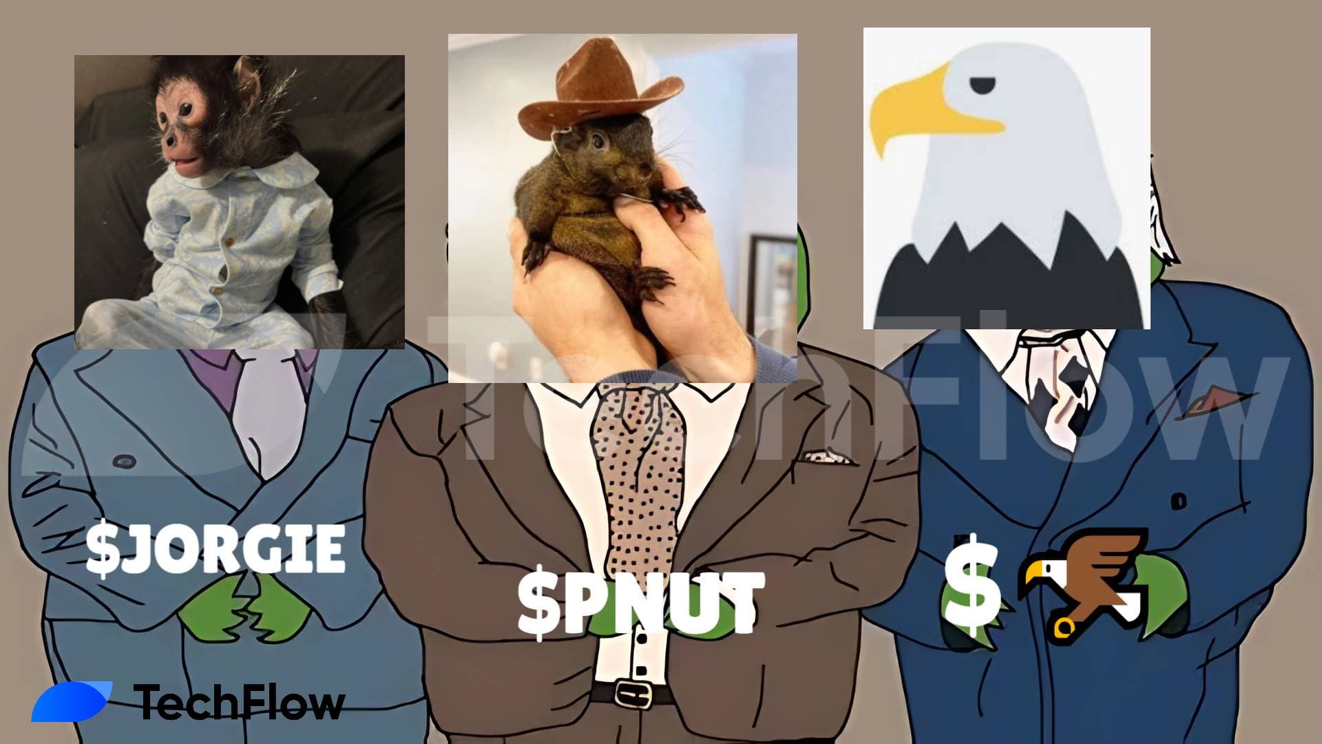 PNUT 带动“动物拯救”叙事,Jorgie 和老鹰成为小市值 Meme 新宠 | 今日 Meme 角度大赏