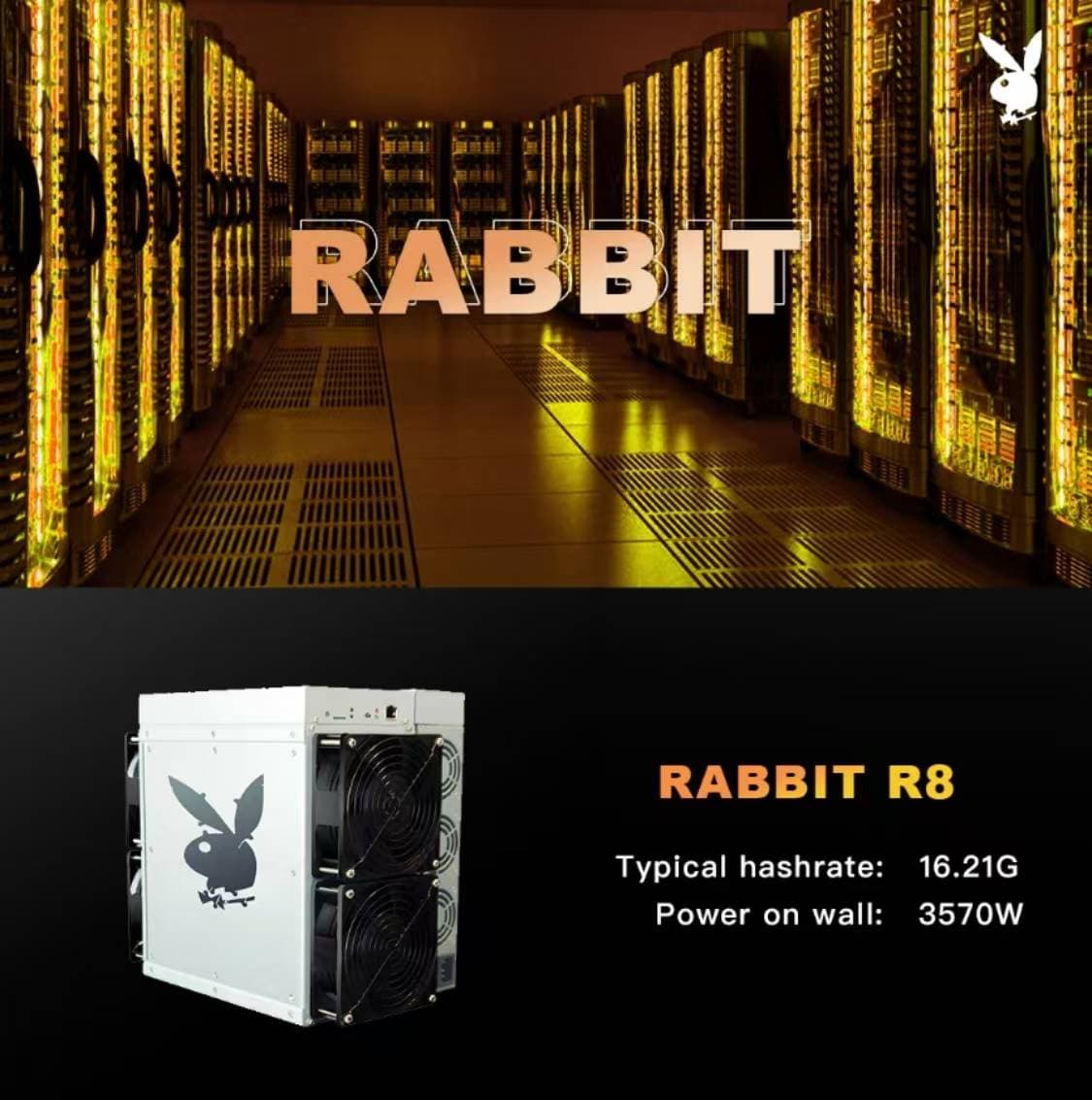 Rabbit 将于 2025 年发布 5nm Dogecoin 矿机 R8,R8 将实现 Doge 和 Rabbit 双挖