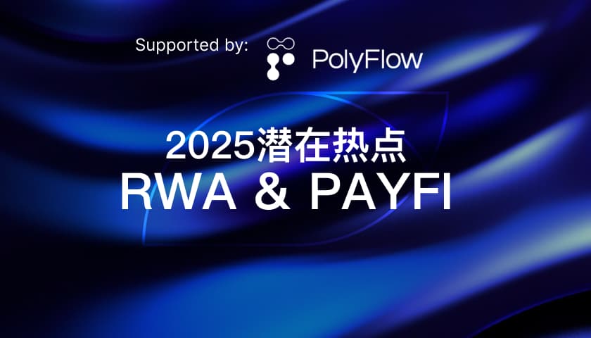 2025 潜在热点:RWA & PayFi