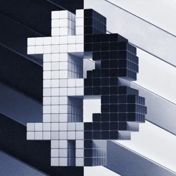 Bitwise 首席投资官:数百家企业将在未来一年半购买比特币