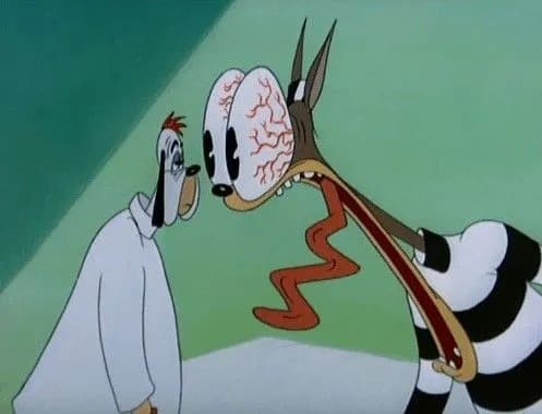 从轰炸伊朗到 TikTok 竞选,注意力经济下的投机法则