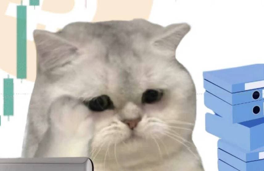 你好,我是加密主理人