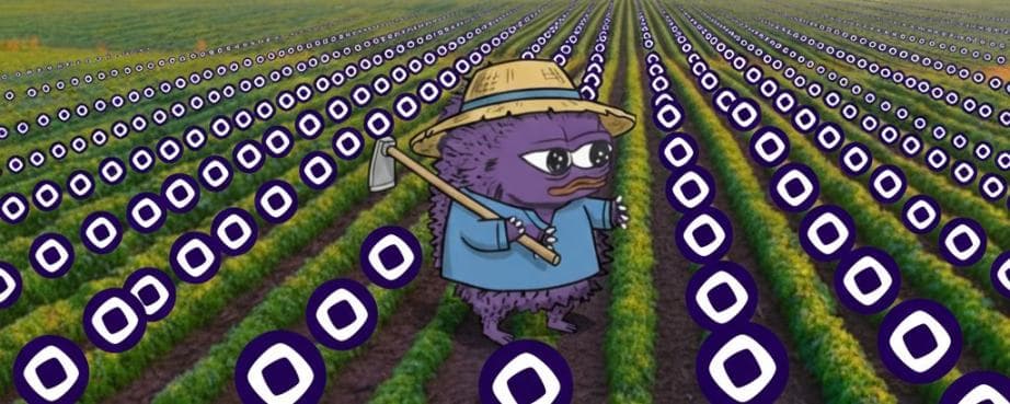 Monad 主网临近,有哪些空投和收益机会?