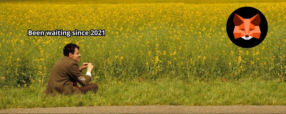 深度剖析 MetaMask 代币背后的机会与隐忧