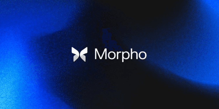 Morpho 吸金 120 亿之谜:这些大户到底在玩什么?