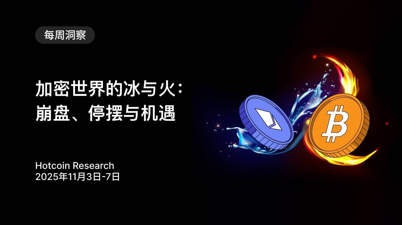 加密世界的冰与火:崩盘、停摆与机遇