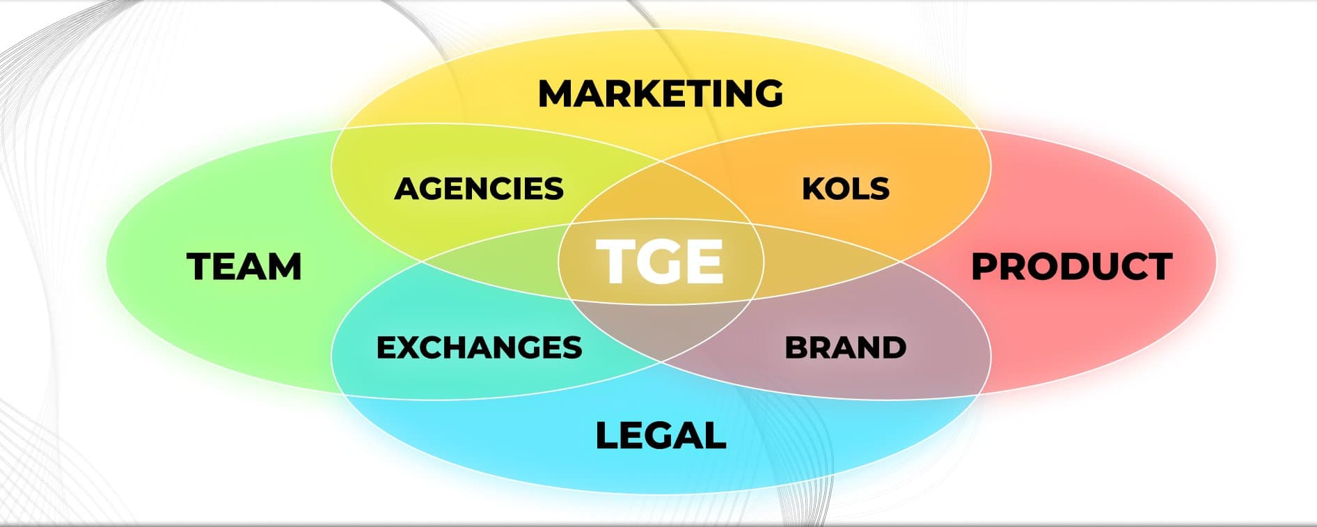 为何 90% 的项目 TGE 都惨淡收场?