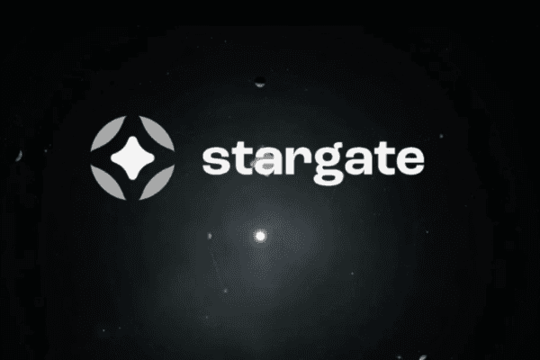 机构为什么看好Stargate?