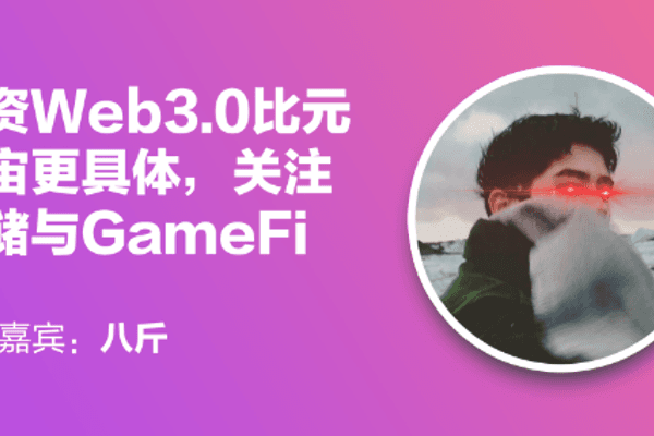 元连线 | 八斤:投资Web3.0比元宇宙更具体,关注存储与GameFi