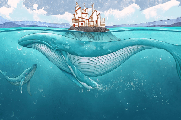 挤兑狂潮后的预测和断想——隐私,信贷,DID