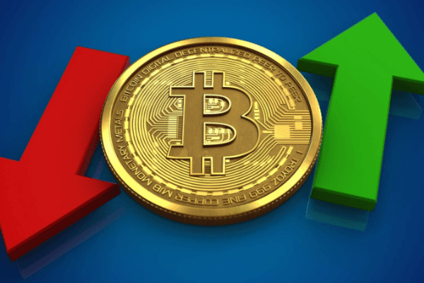 加密KOL对2023年的预测:今年BTC将见底,Solana不会归零