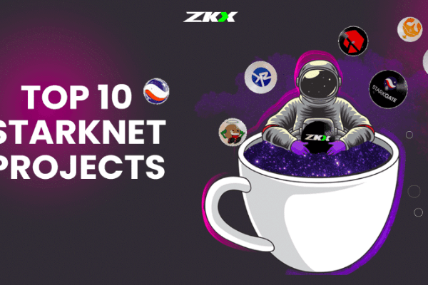 2023年十大Starknet项目一览:钱包、DeFi、跨链桥、稳定币和DID协议